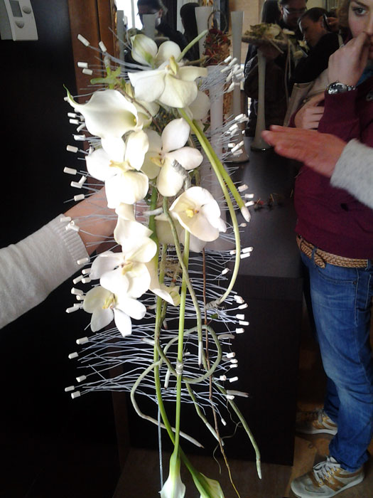 20120415_163432